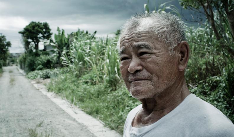 The Okinaway Of Life
