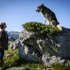 Murder on the Sancy Massif